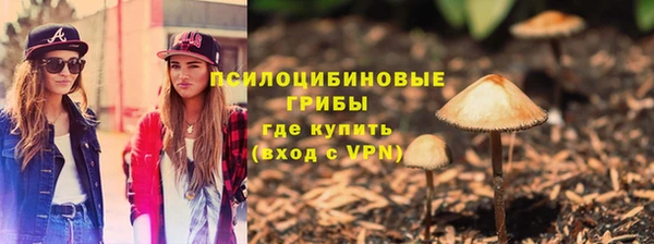 a pvp Вязьма