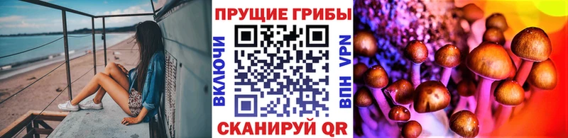 Галлюциногенные грибы GOLDEN TEACHER  где купить наркоту  Льгов 